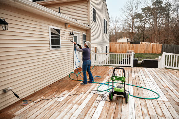 Best Exterior Home Cleaning  in Birch Run, MI