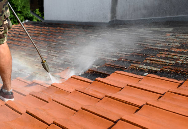 Best Power Washing Near Me  in Birch Run, MI