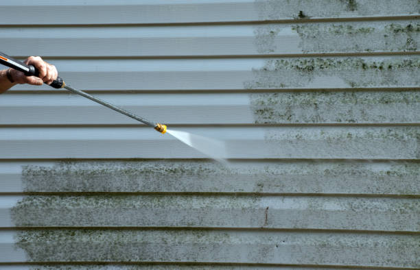 Best Residential Pressure Washing Services  in Birch Run, MI