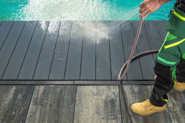 Best Roof Power Washing Services  in Birch Run, MI