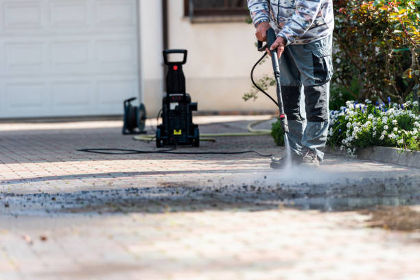 Best Pressure Washing Company Near Me  in Birch Run, MI