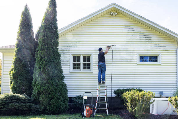 Best Local Pressure Washing Services  in Birch Run, MI