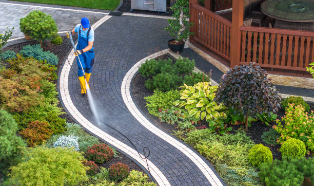 Best Pressure Washing Near Me  in Birch Run, MI