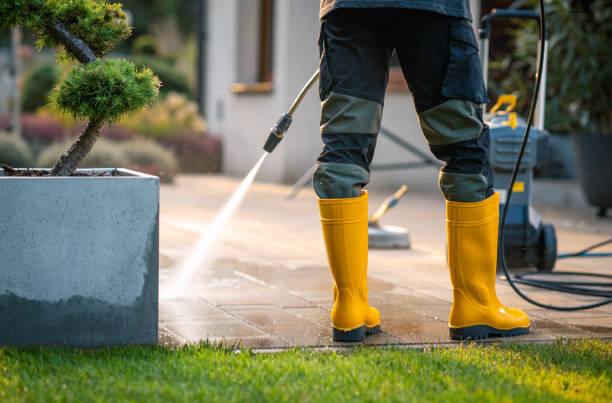 Best Pressure Washing Contractors  in Birch Run, MI